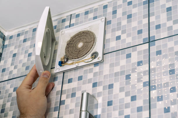 Best HVAC Maintenance and Cleaning  in Nes, IL
