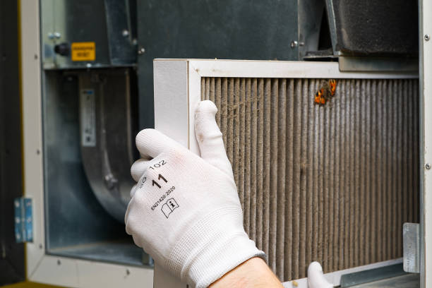 Best Ventilation Cleaning Services  in Nes, IL